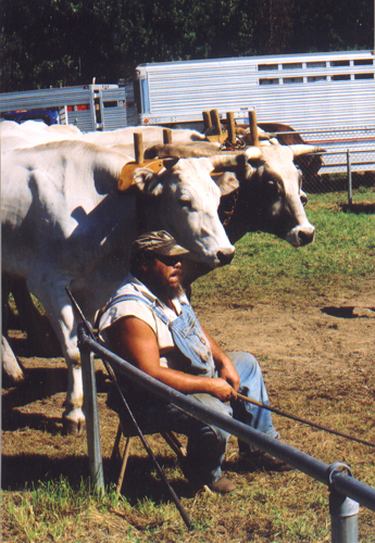 2003OCF5