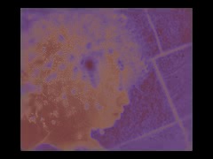 p2.mov